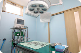 去勢・避妊手術
