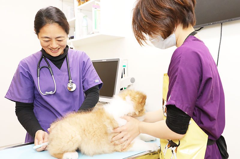 健康診断について