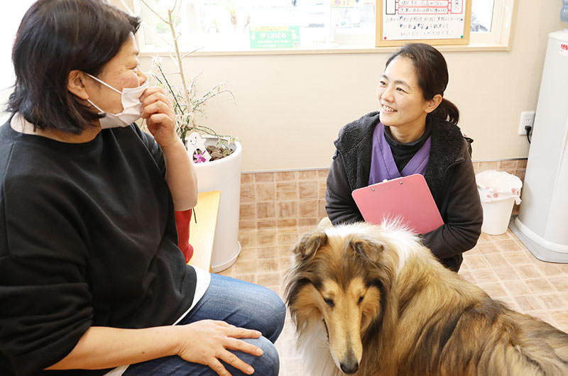 初めてペットを飼われる方へ